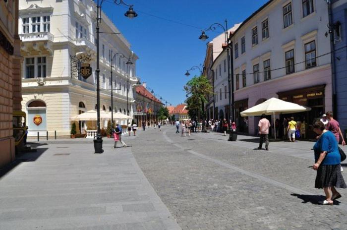 Pension Vila Andra Sibiu Exterior foto