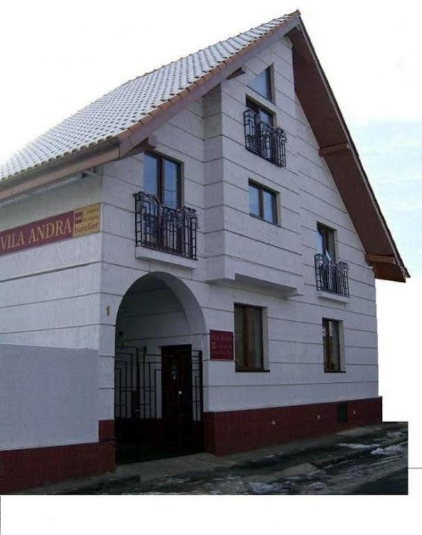 Pension Vila Andra Sibiu Exterior foto